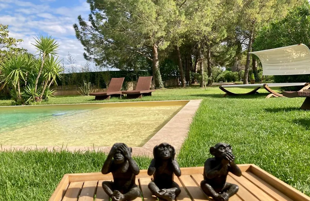 Le Patio, chambres d hôtes pour adultes en Camargue, possibilité de naturisme à la piscine,-1