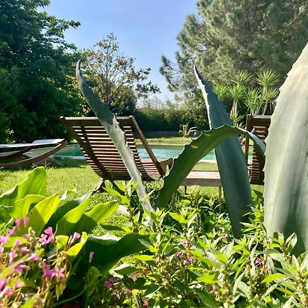 Le Patio, chambres d hôtes pour adultes en Camargue, possibilité de naturisme à la piscine,-2